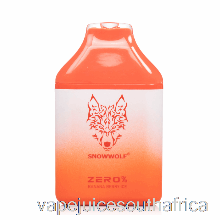 Vape Juice South Africa Snowwolf Zero 5500 0% Nicotine Free Disposable Banana Berry Ice